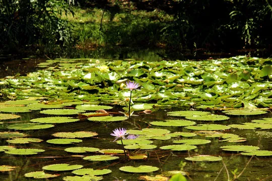 福彩3D平台预览